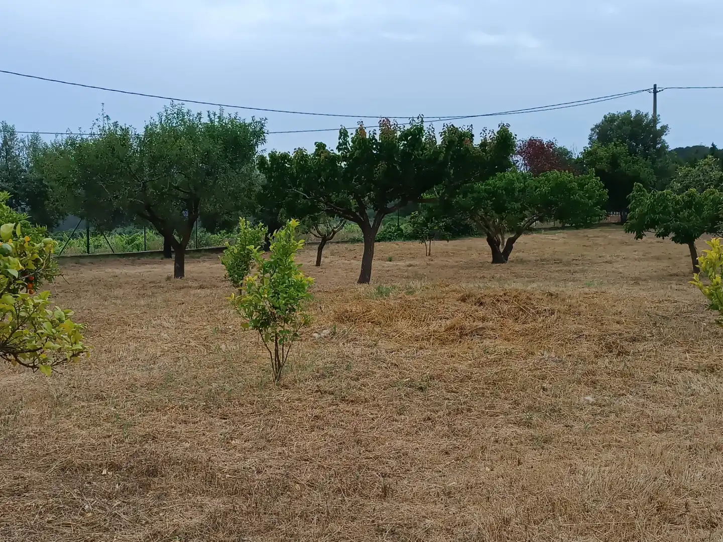 Terreno residencial en venta en Carrer Reus