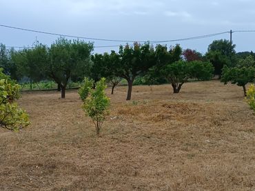 Terreny residencial en venda a Carrer Reus