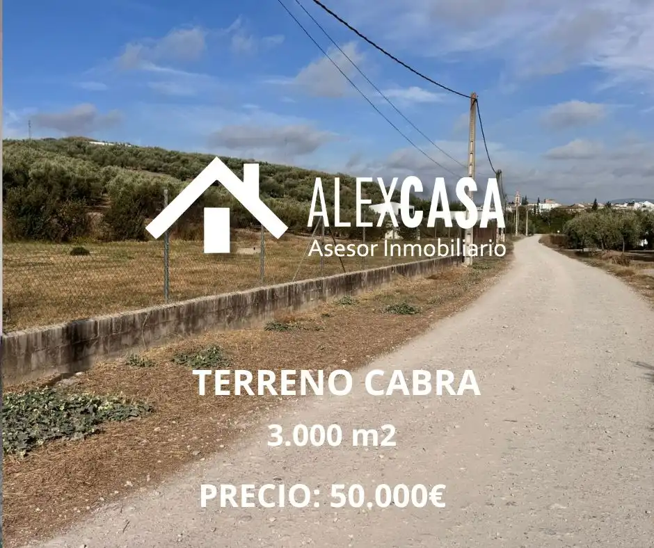 Terreny rústic en venda a Poleares