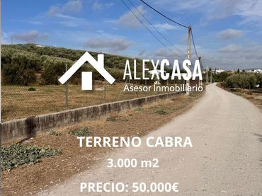 Terreny rústic en venda a Poleares