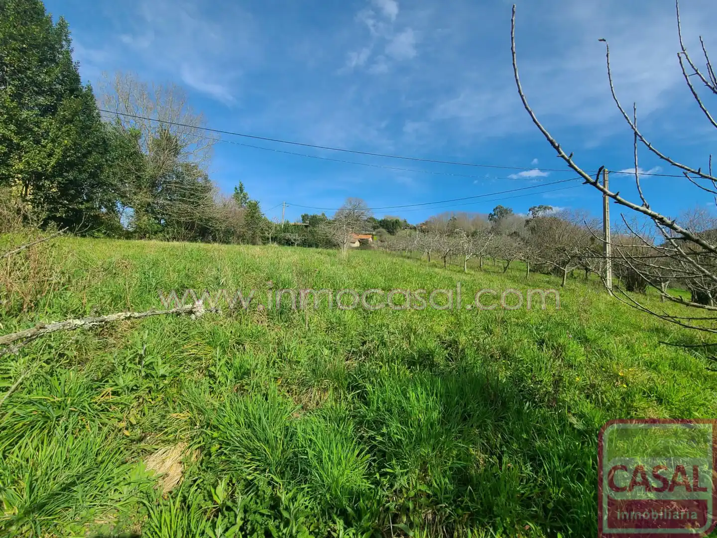 Grundstücke und Bauplätze zum Verkauf in POLIGONO 51 PARCELA 132, imagen 23