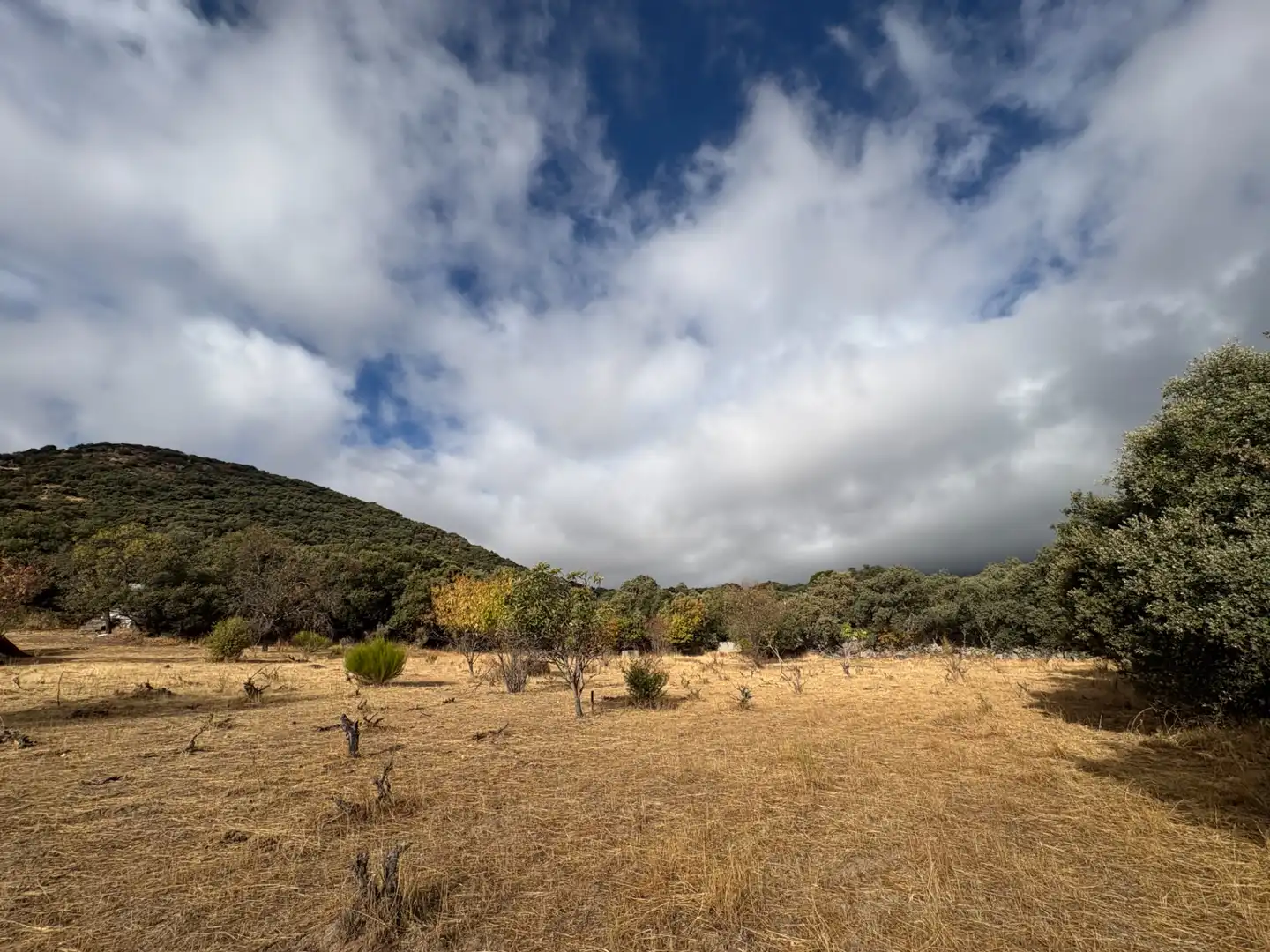 Country homes for sale in Cenicientos
