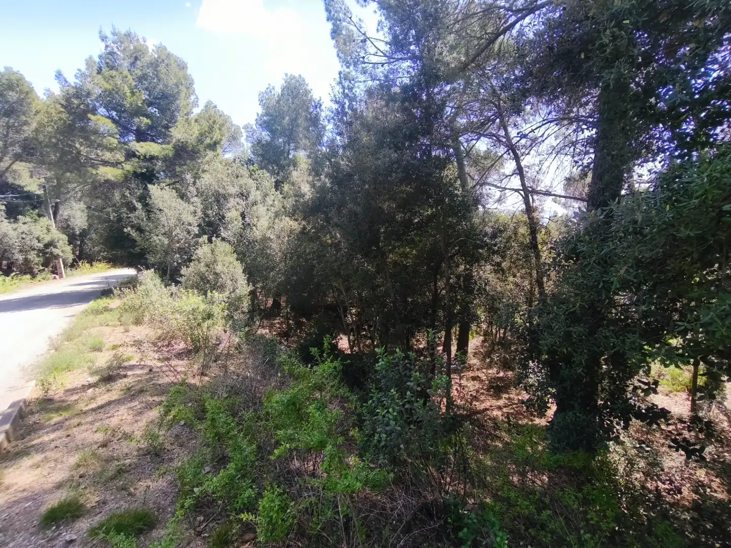 Terrain résidentiel à vendre à Carrer de la Font del Querol 19, imagen 10