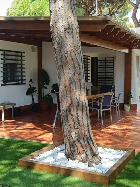 Detached house with pool for sale in Las Lagunas - Campano, imagen 3