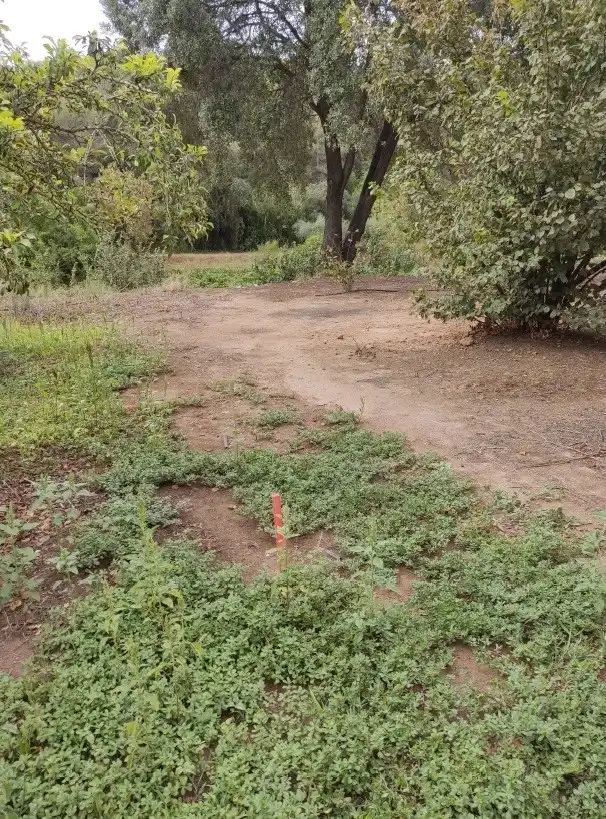 Terrenys i solars en venda a N/A, imagen 4