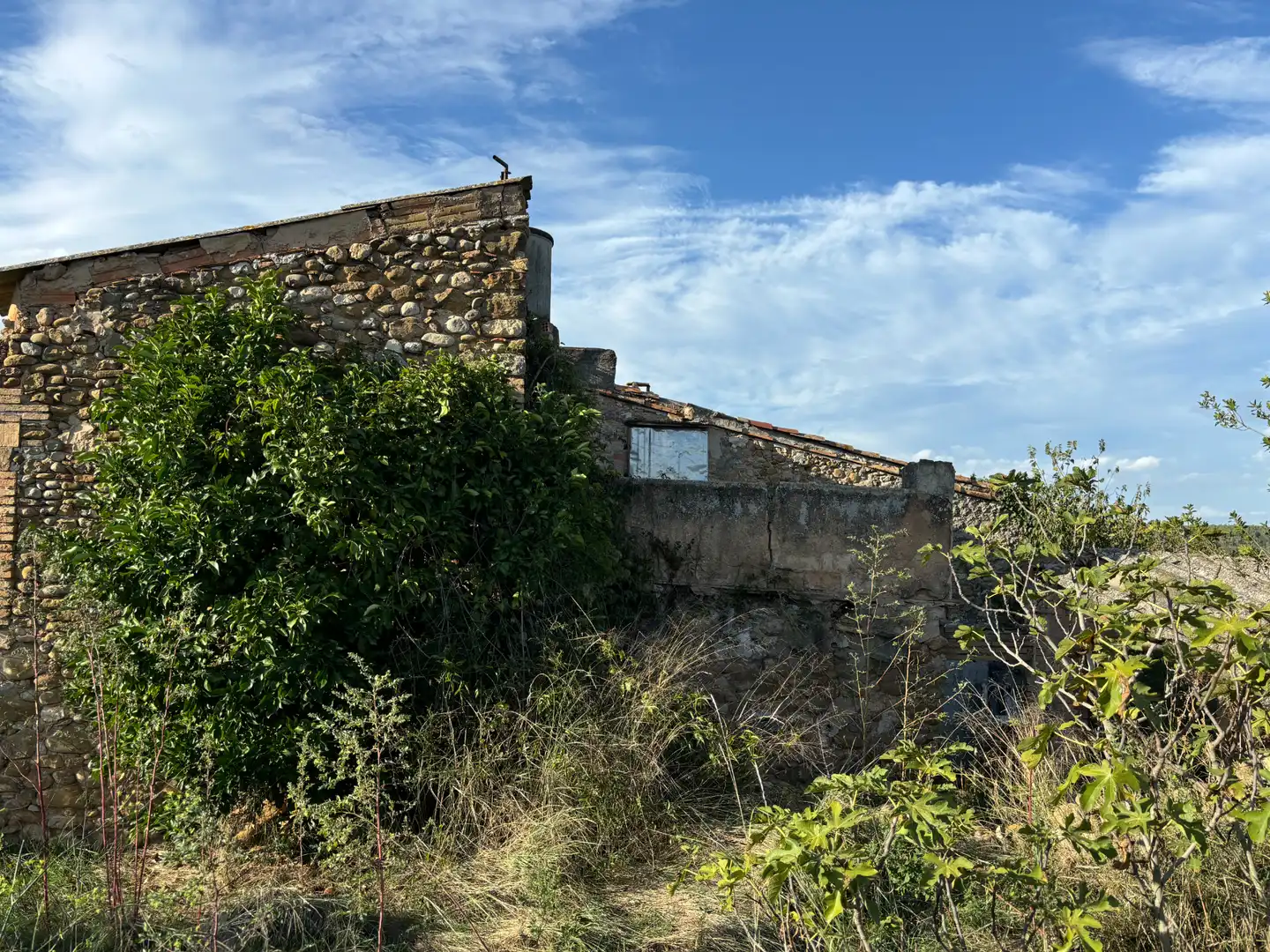 Vista exterior de Finca rústica en venta en Crespià