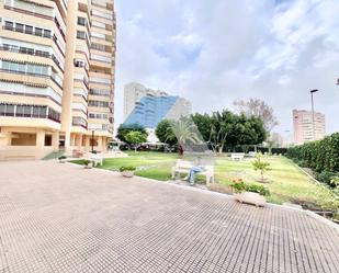 Vista exterior de Estudi en venda en Alicante / Alacant amb Jardí privat i Piscina comunitària