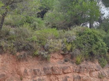 Terreni e lotti in vendita a Rellinars