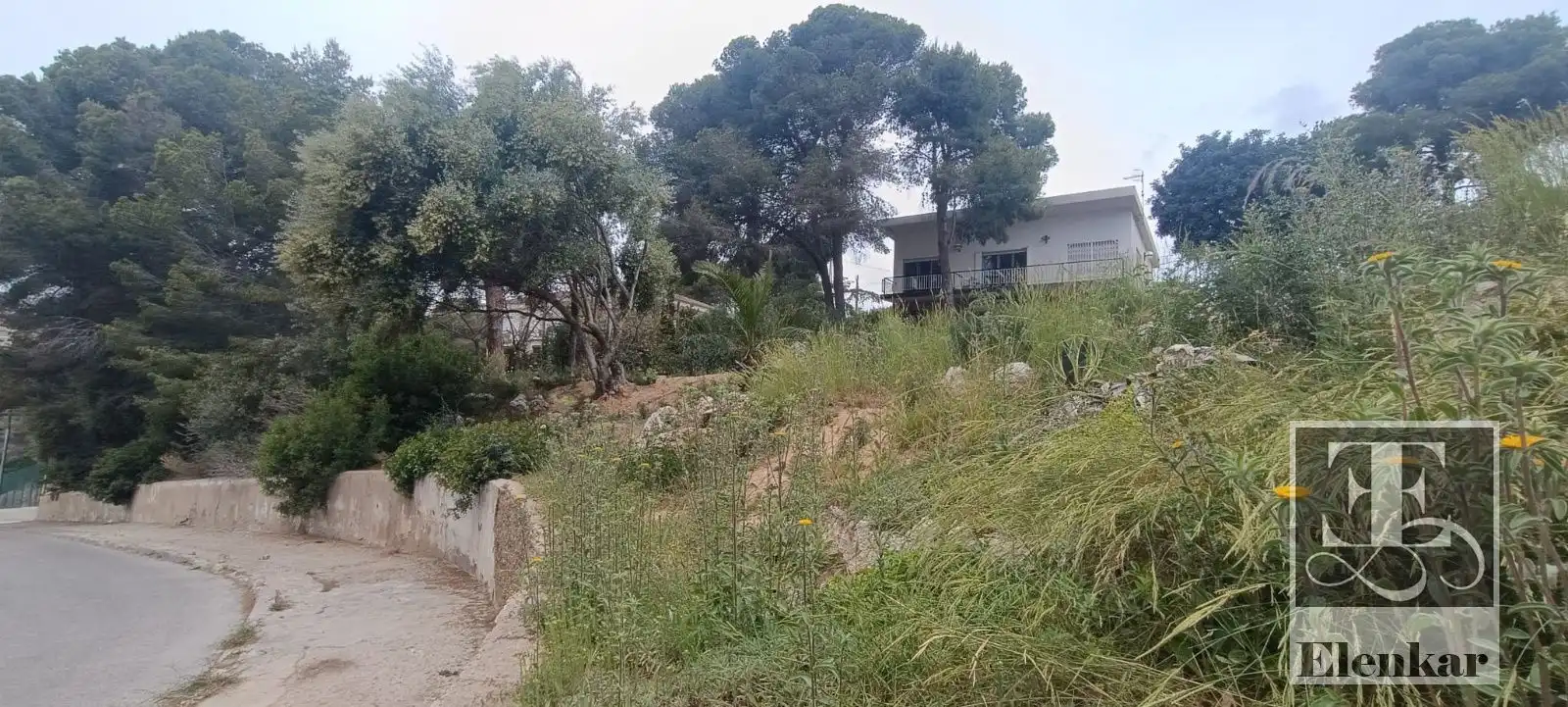 Terreno rústico en venta en SAL, imagen 4