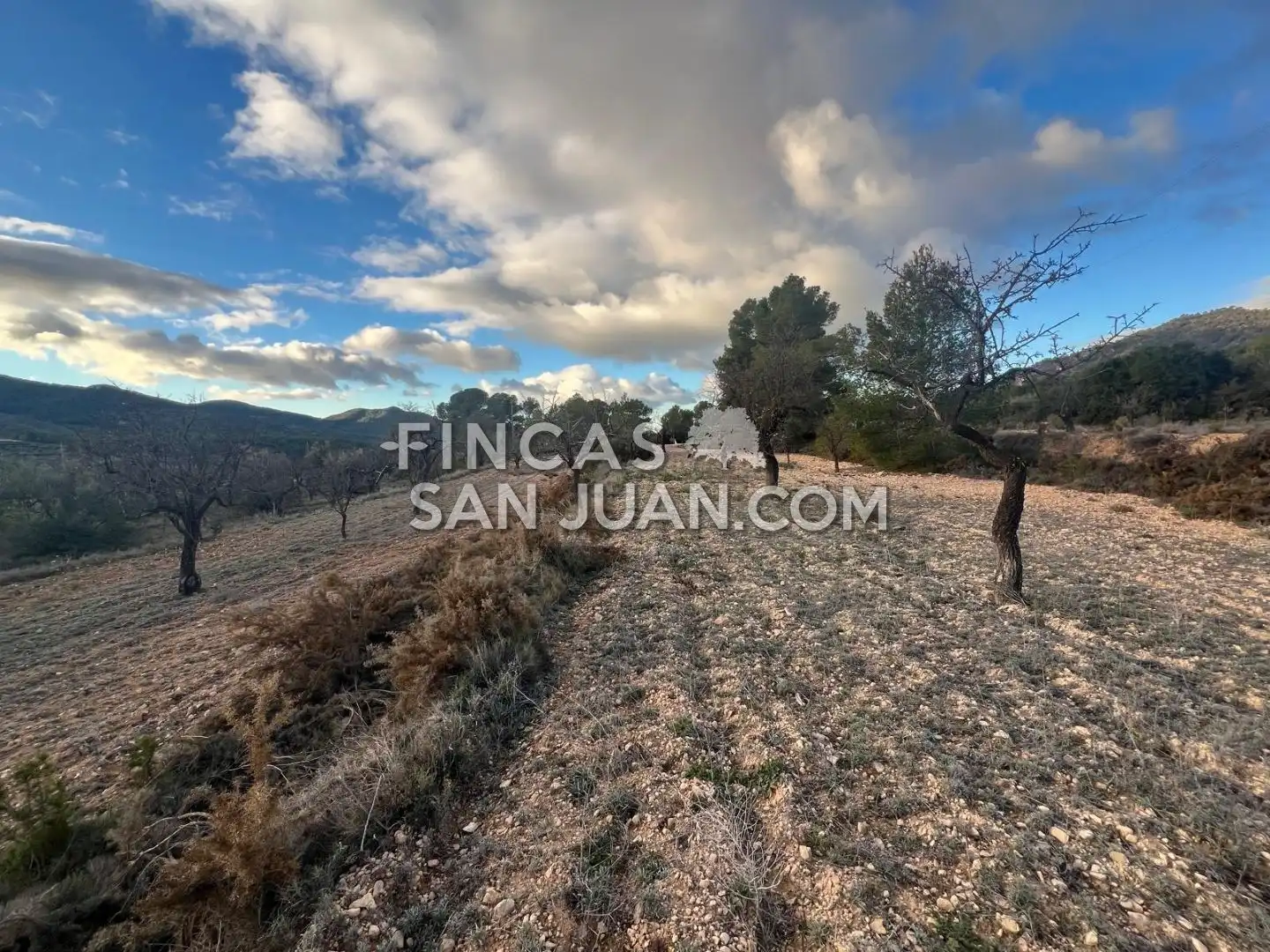Terreny residencial en venda a Torremanzanas / La Torre de les Maçanes, imagen 9