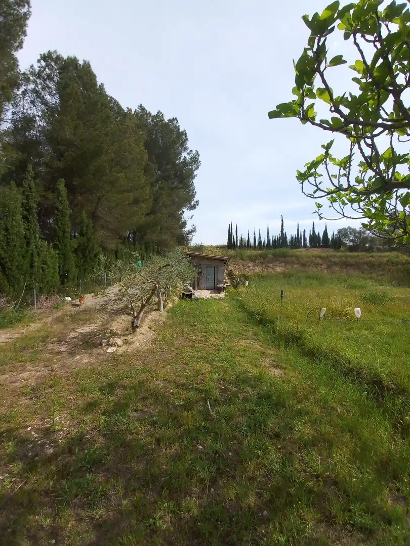 Terrain rustique à vendre à Ginestar, imagen 56