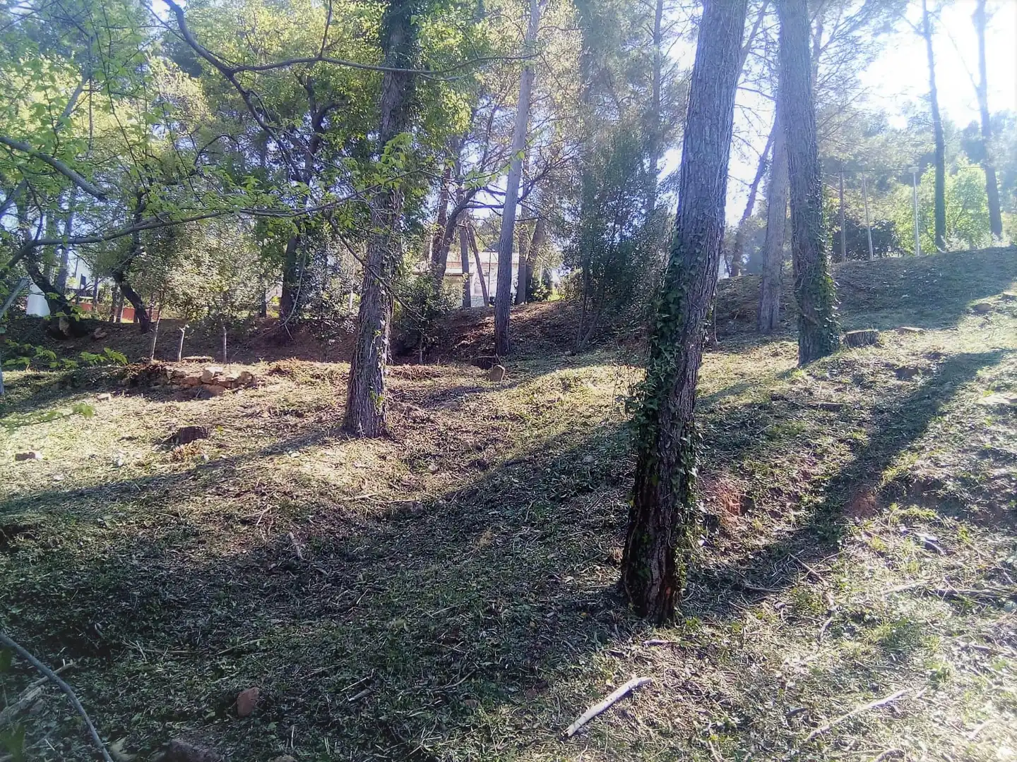 Terreni e lotti in vendita a Avinguda de les Cases Pairals