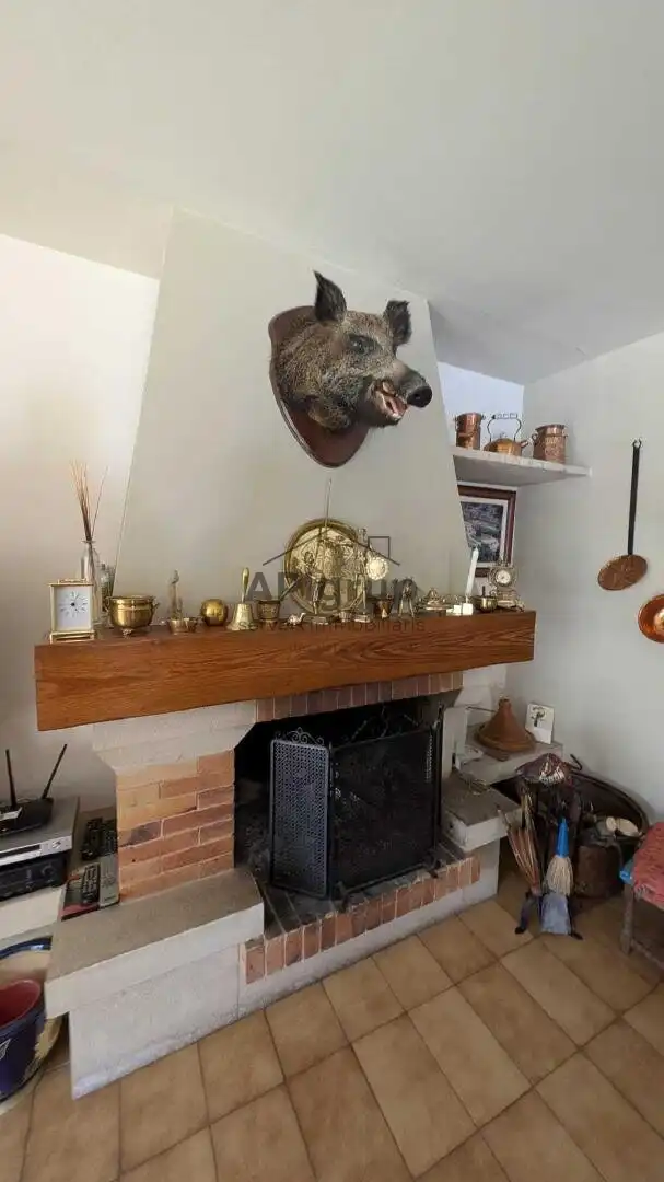 Sala d'estar de Casa o xalet en venda en Tagamanent