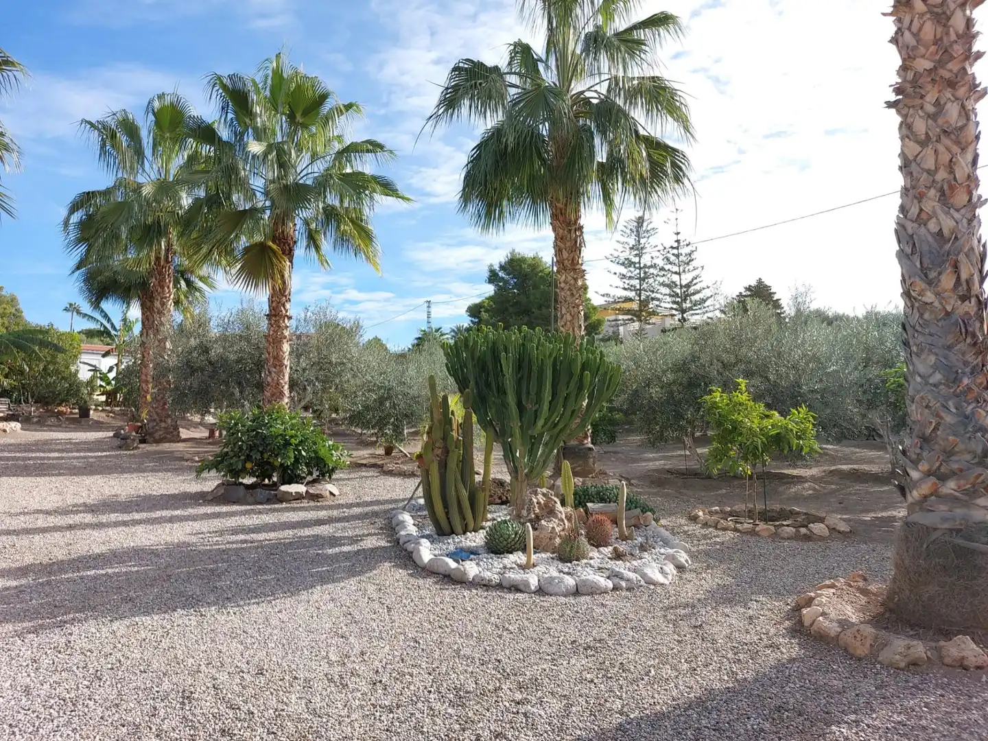 Casa rustica con piscina in vendita a Tébar - Los Arejos, imagen 65