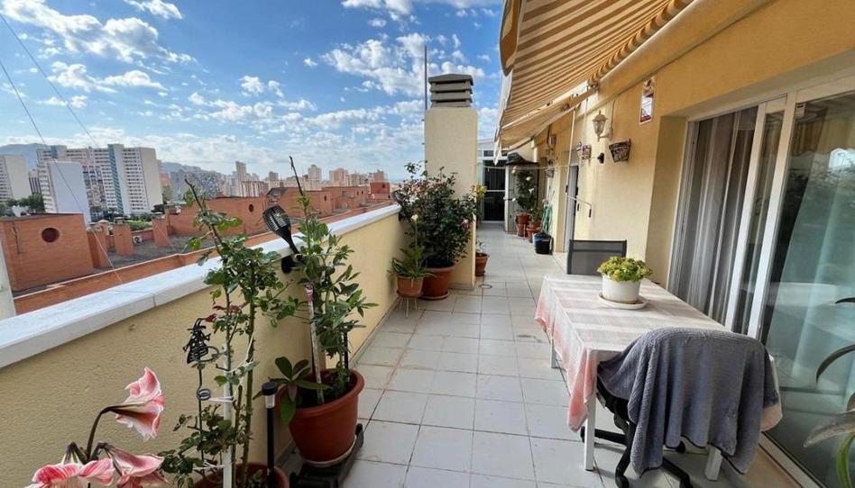 Foto 1 de Ático en venta en Avenida Beniarda, Colonia Madrid, Alicante