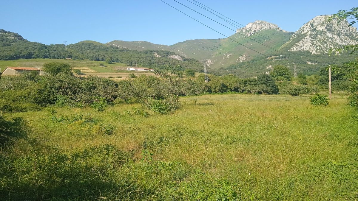Residencial en venda en Cabrales
