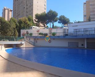 Swimming pool of Flat for sale in Benidorm  with Air Conditioner, Terrace and Community pool