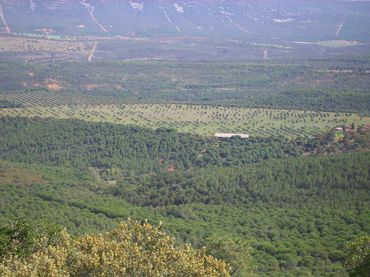 Terreno rustico in vendita a Horcajo de los Montes
