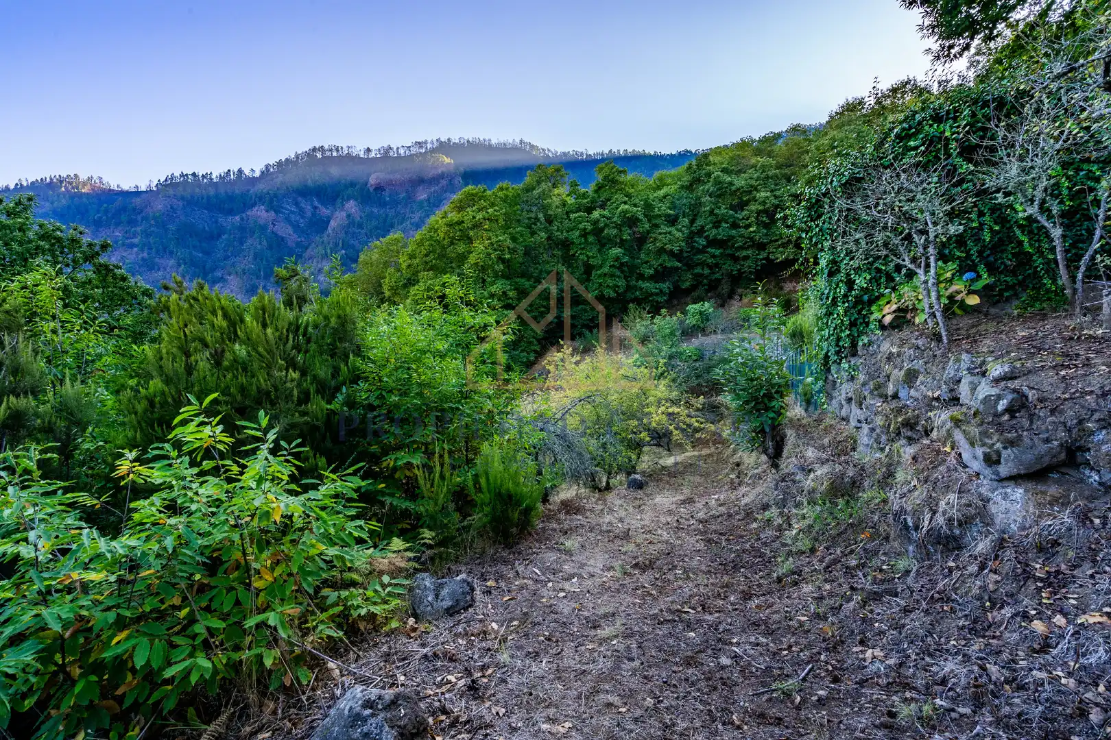 Terreno rustico in vendita a Camino la Candelaria 2A, imagen 3