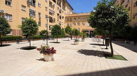 Photo 2 of Flat for sale in Pino Montano - Consolación, Sevilla Capital