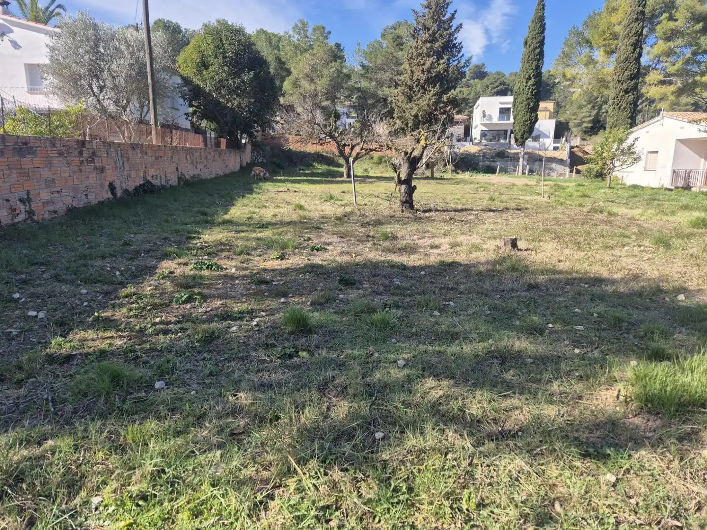 Lands and plots for sale in Carrer OURENSE, imagen 7