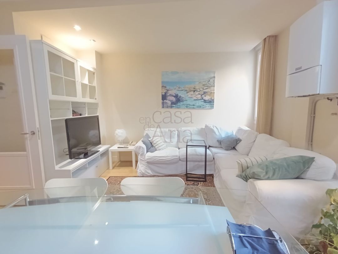 Pis de lloguer a Hurtado de Amezaga Kalea, Zabalburu