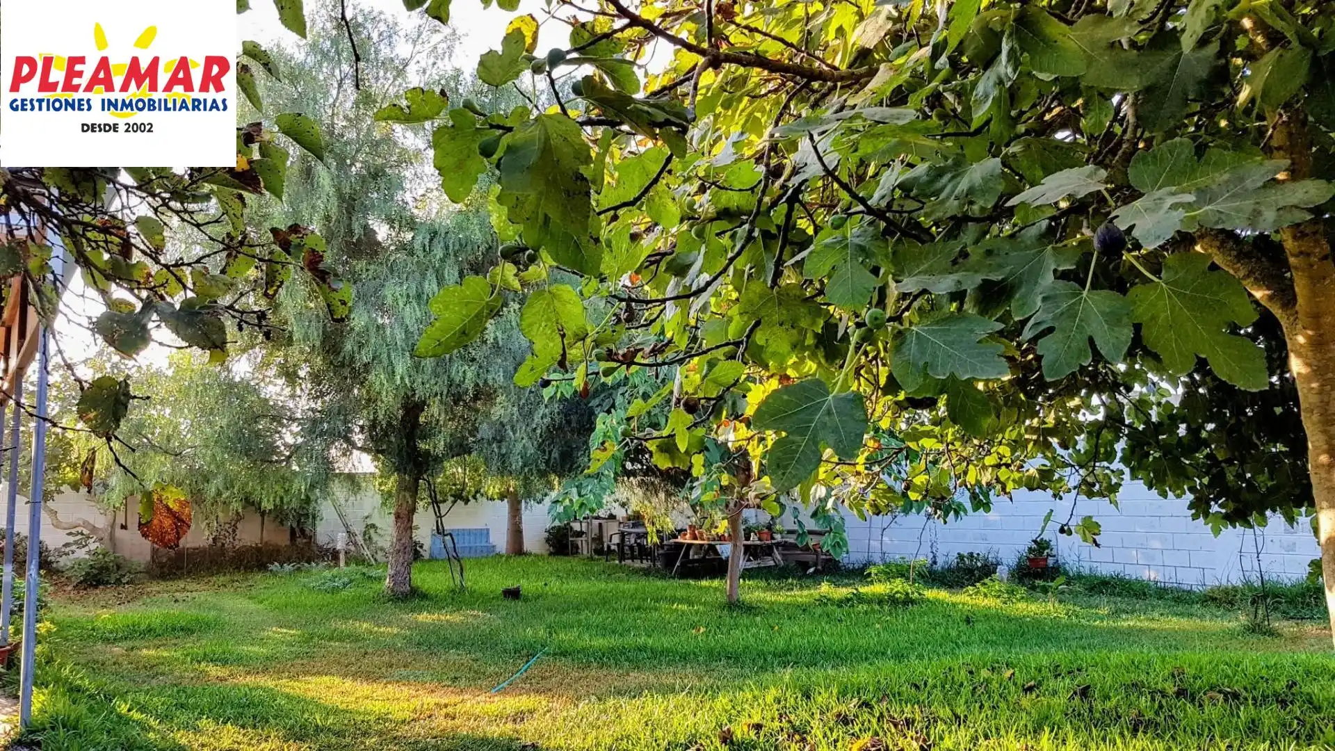 Casa rustica in vendita a Las Tres Piedras - Costa Ballena, imagen 12