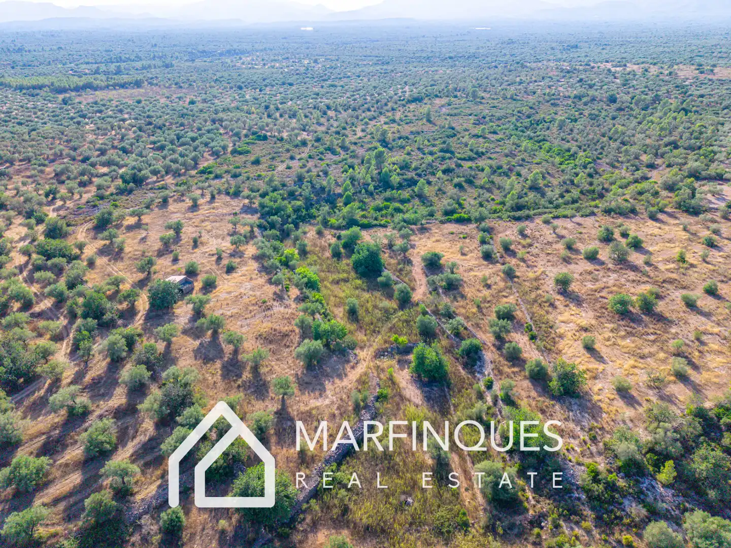 Terreno rustico in vendita a San Rafael del Río, imagen 10