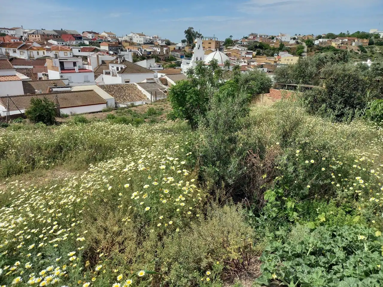 Residencial en venta en Aznalcóllar