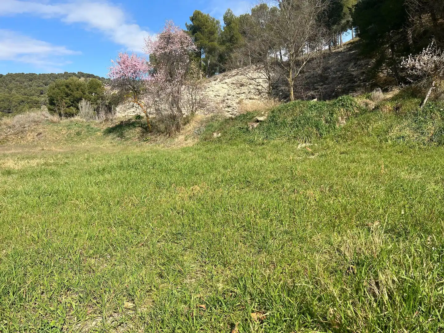 Terreny residencial en venda a Biar, imagen 14