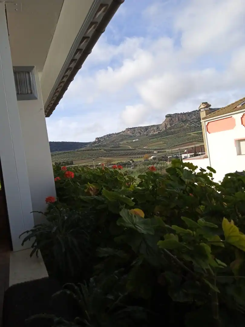 Jardín de Casa o chalet en venta en Cuevas del Becerro con Aire acondicionado, Calefacción y Jardín privado