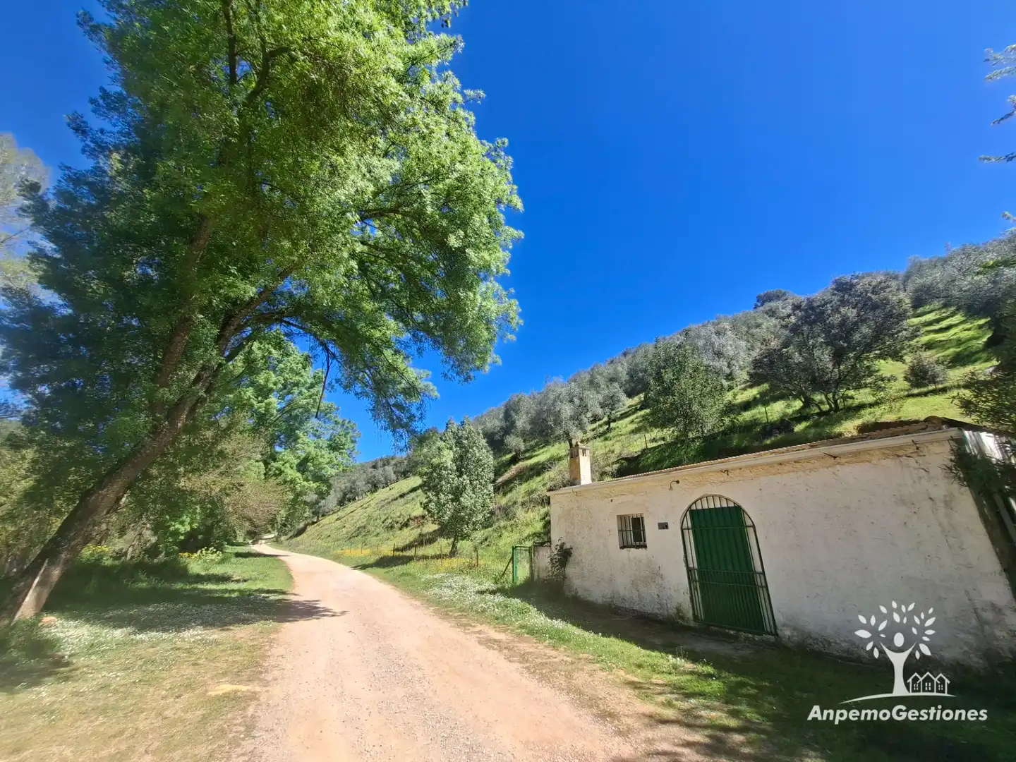Terreni e lotti in vendita a Camino de la Ermita 18, imagen 14