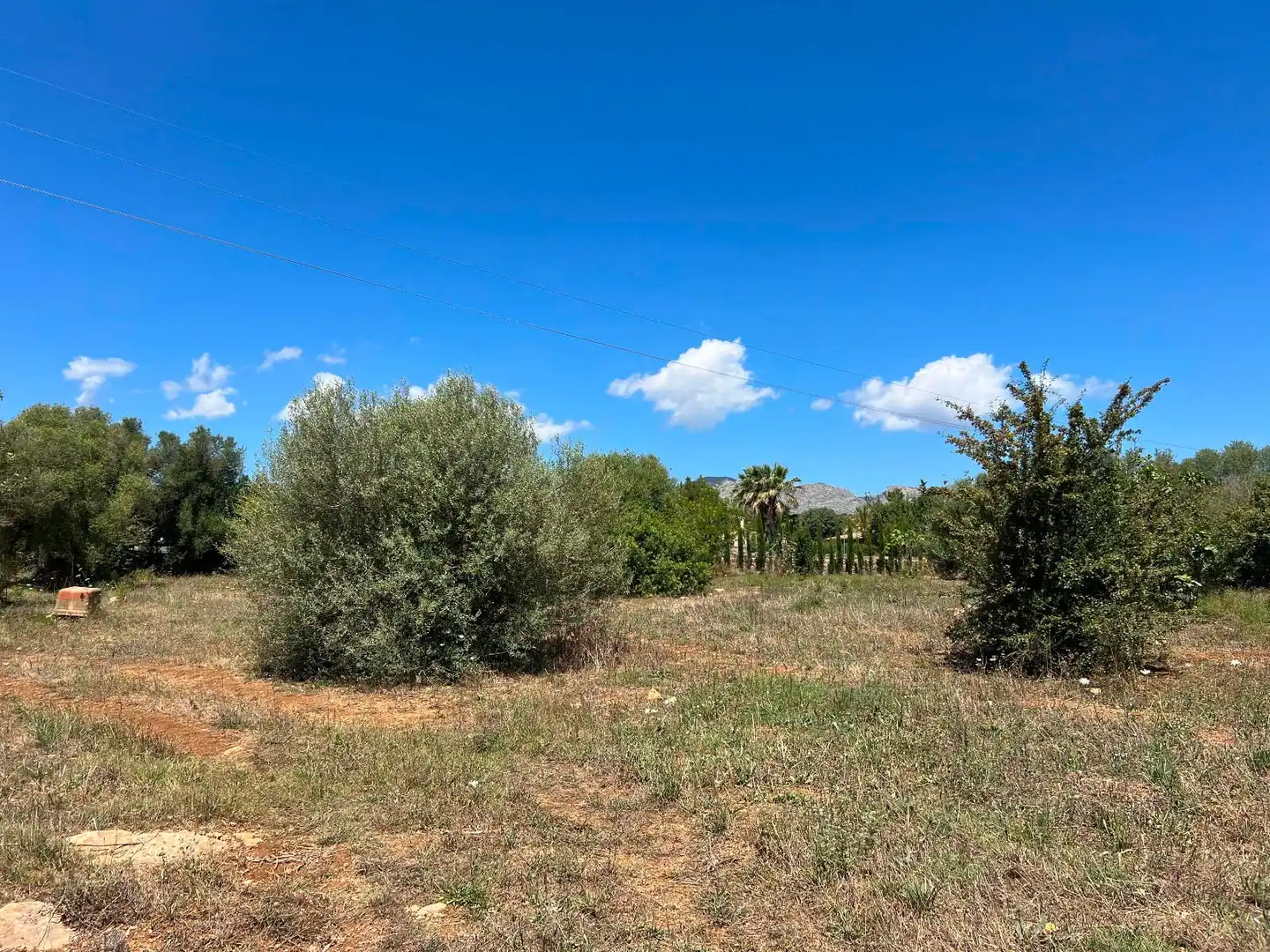 Terreno residenziale in vendita a Pollença Poble, imagen 13
