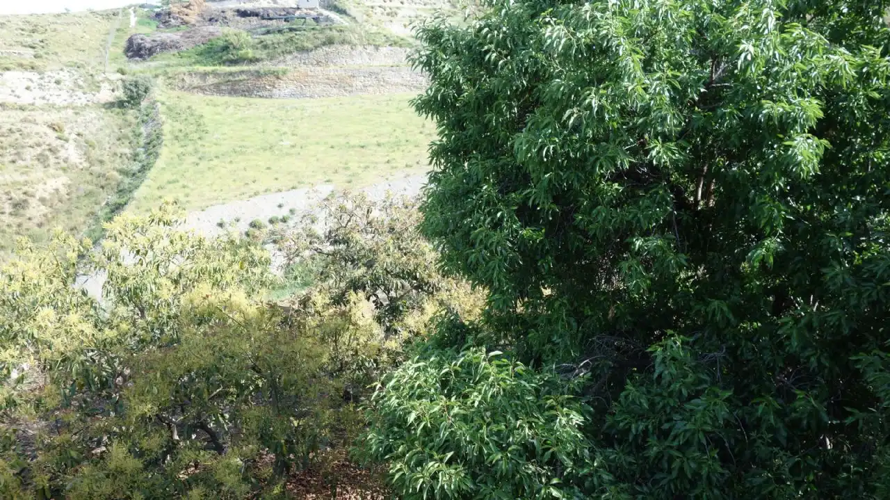 Finca rústica en venda en Molvízar