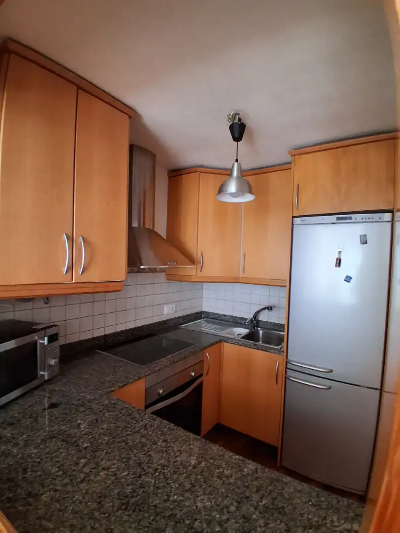 Kitchen of Apartments for rent in  Palma de Mallorca  with Air Conditioner, Parquet flooring and Furnished