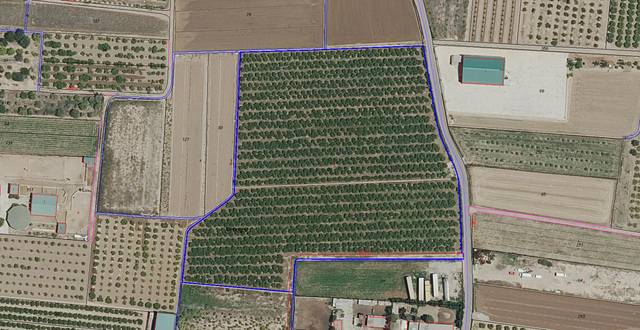 Terreno en Venta en Benifaraig