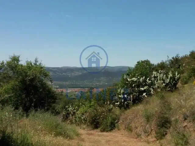 Rural land for sale in Espiel, imagen 6