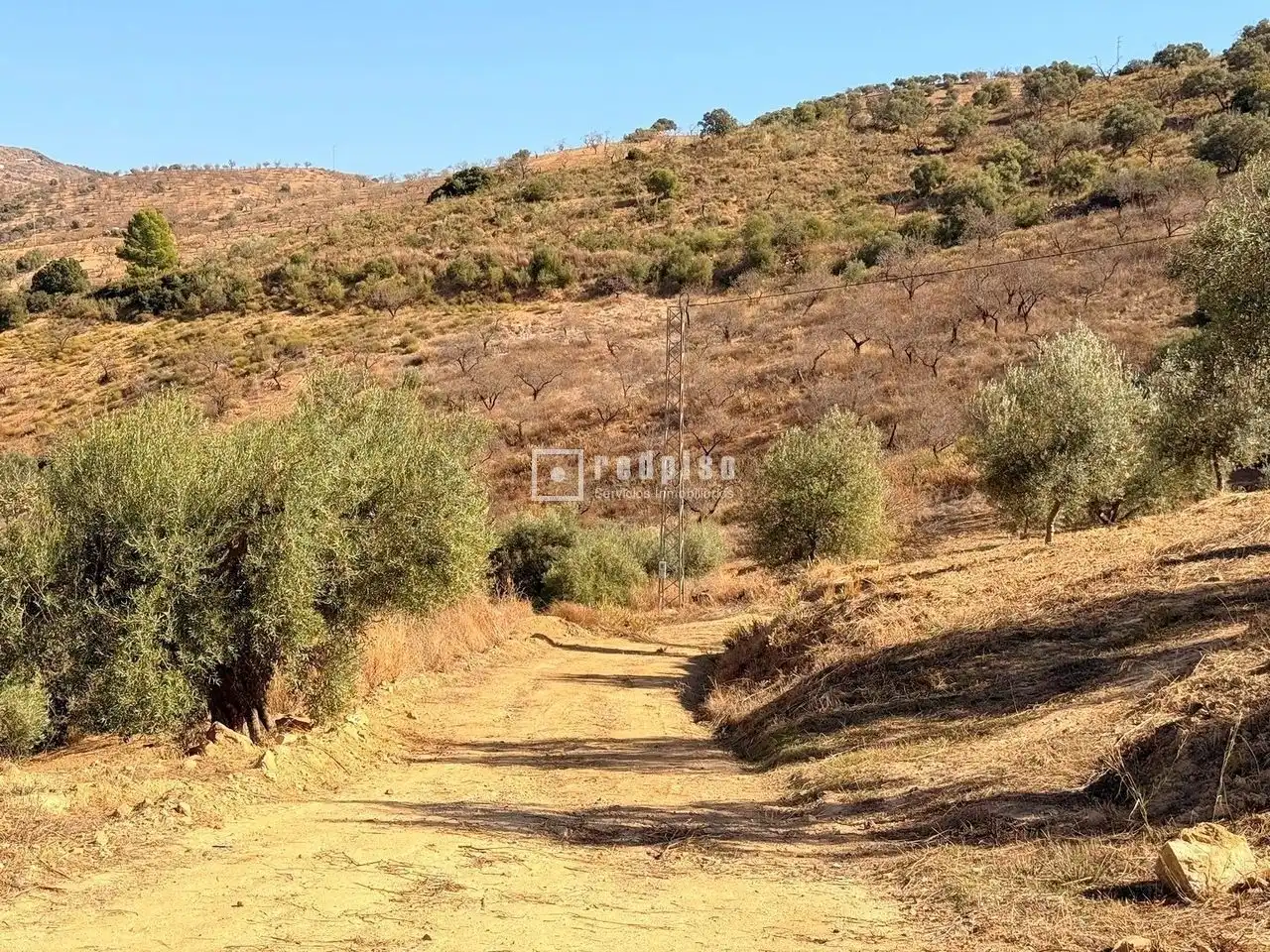 Residential land for sale in Diseminados, imagen 7