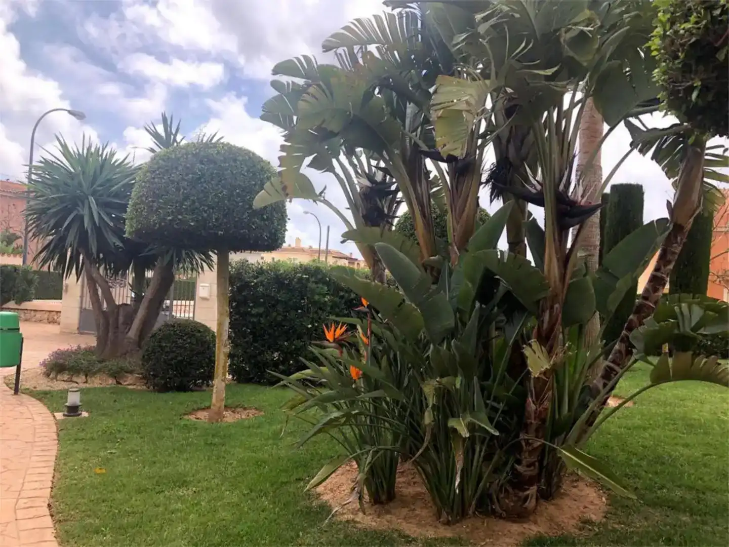 Jardí de Planta baixa en venda en Campos amb Aire condicionat i Piscina