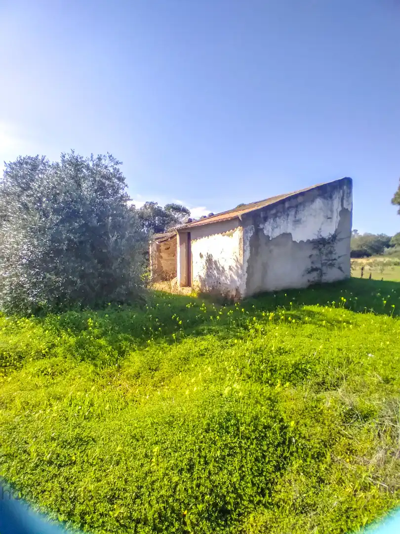 Finca rústica en venda en Villablanca