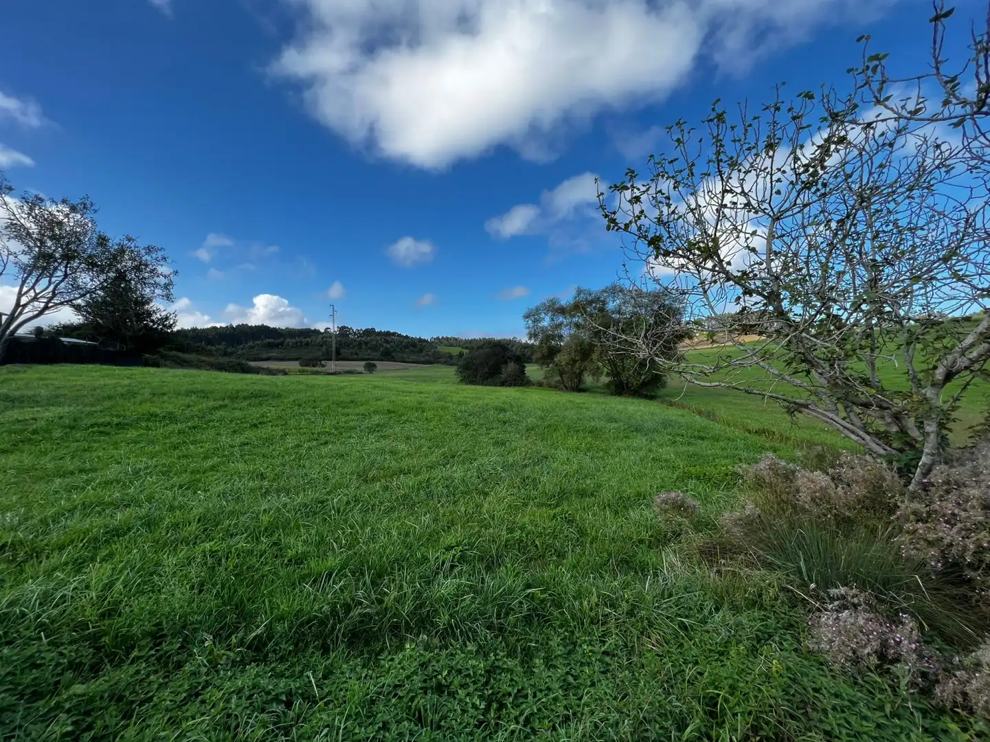 Wohnbaugrundstück zum Verkauf in Gozón - Vioño, imagen 3