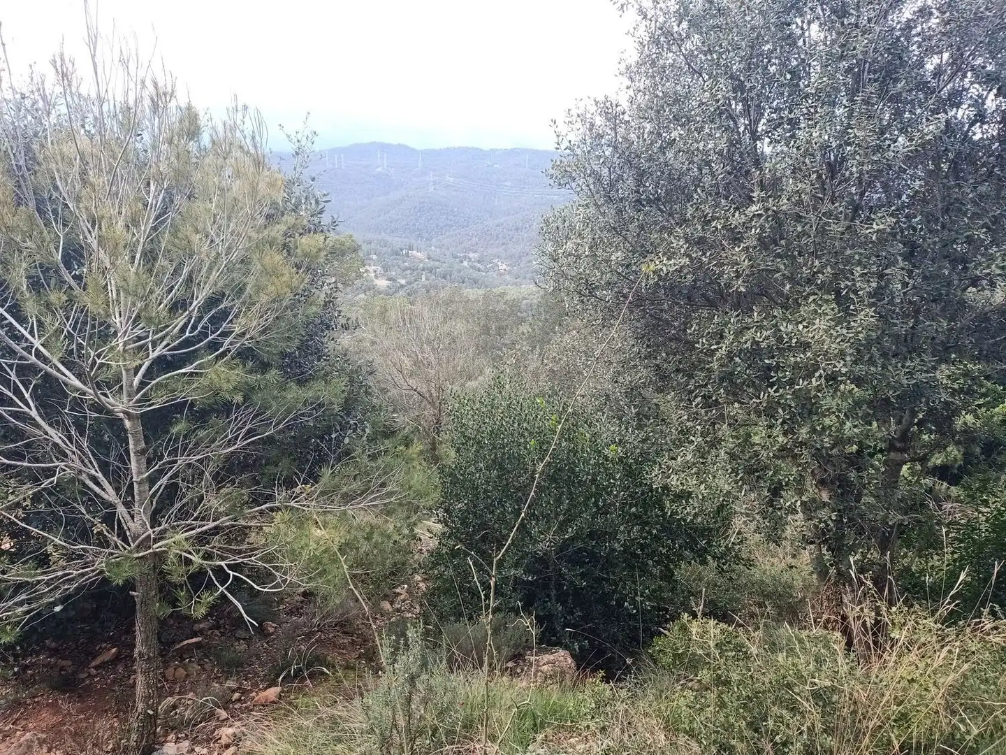 Terrenos y solares en venta en de l'espigol 12, imagen 9