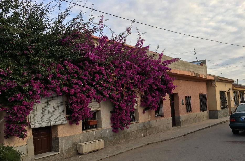 Exterior view of Flat for sale in  Murcia Capital