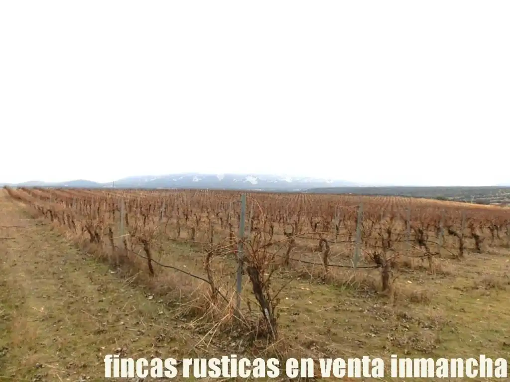 Terreni e lotti in vendita a Sonseca, imagen 15