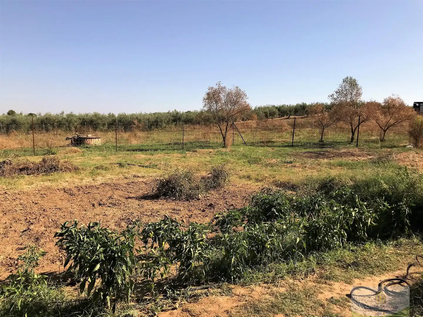 Finca rústica en venta en Rociana del Condado