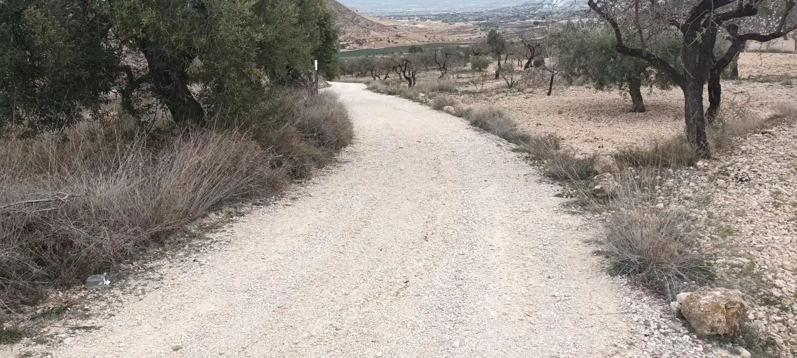 Terreno rustico in vendita a Calle Hondon de las Nieves, imagen 6
