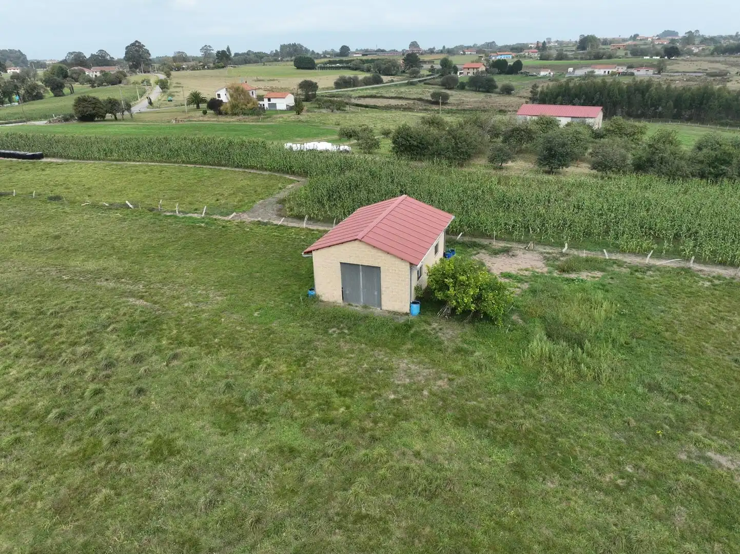 Industriegebäude zum Verkauf in Tazones - Argüero