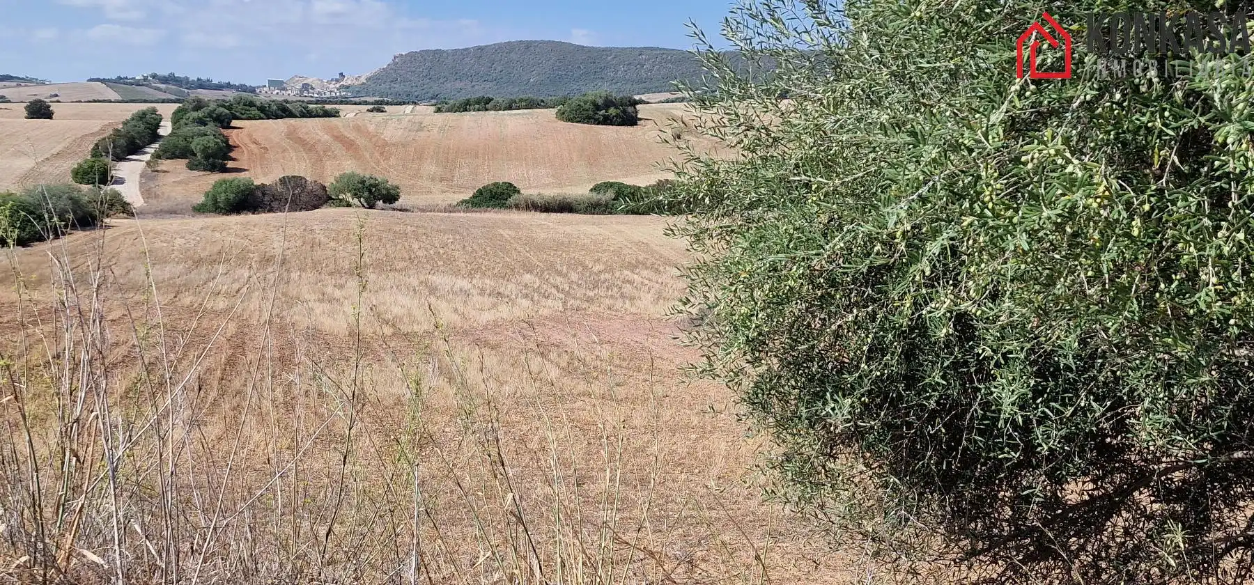 Casa rústica en venda a Arcos de la Frontera, imagen 2