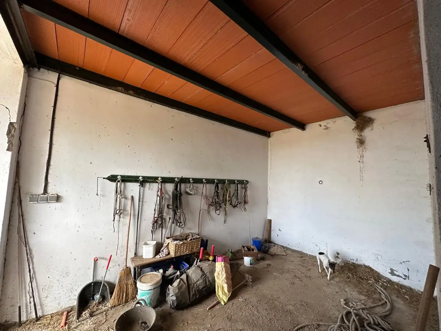 Terreni e lotti in vendita a Villanueva de la Serena, imagen 5