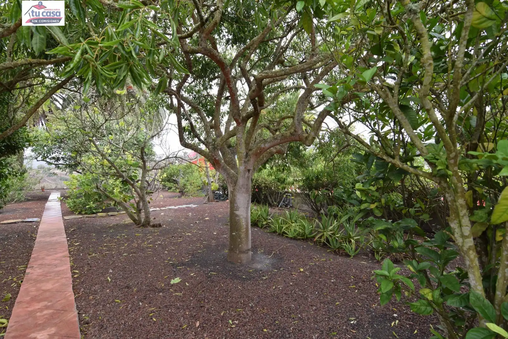 Garden of Houses for sale in Santa María de Guía de Gran Canaria  with Air Conditioner, Heating and Private garden